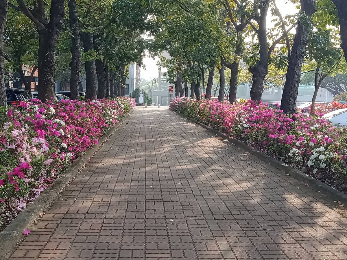 du-hoc-dai-loan-nen-chon-truong-nao